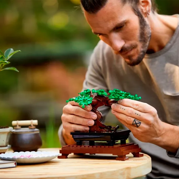 Конструктор LEGO Bonsai Tree Классический/ Разноцветный photo 13