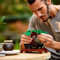 Constructor LEGO Bonsai Tree Clasic/ Multicolor photo 13