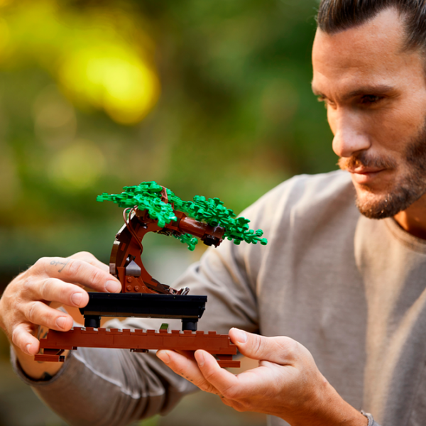 Конструктор LEGO Bonsai Tree Классический/ Разноцветный photo 14