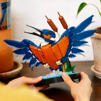 Constructor LEGO Kingfisher Bird Pasăre/ Multicolor photo 8