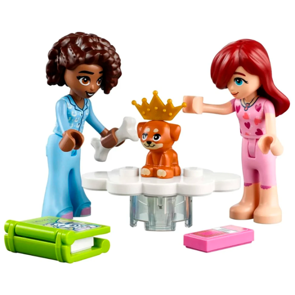 Constructor LEGO Aliya's Room Clasic/ Multicolor photo 6 Constructor LEGO Aliya's Room Clasic/ Multicolor photo 6