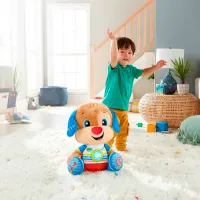 Интерактивная игрушка Mattel Fisher-Price HDJ19 18+ месяцев/ Разноцветный photo 5