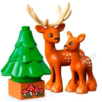 Constructor LEGO Wild Animals of the World Animale/ Multicolor photo 5