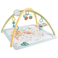 Игровой коврик Fisher Price HRB15 () 0+/ Зелёный