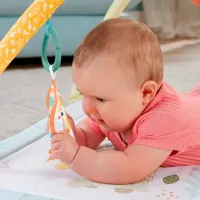 Covoraş pentru joc Fisher Price HRB15 () 0+/ Green photo 6