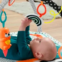 Covoraş pentru joc Fisher Price HBP41 () 0+/ White photo 2