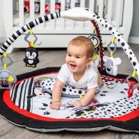 Игровой коврик BabyOno C-MORE (516) 0+/ Черный photo 4