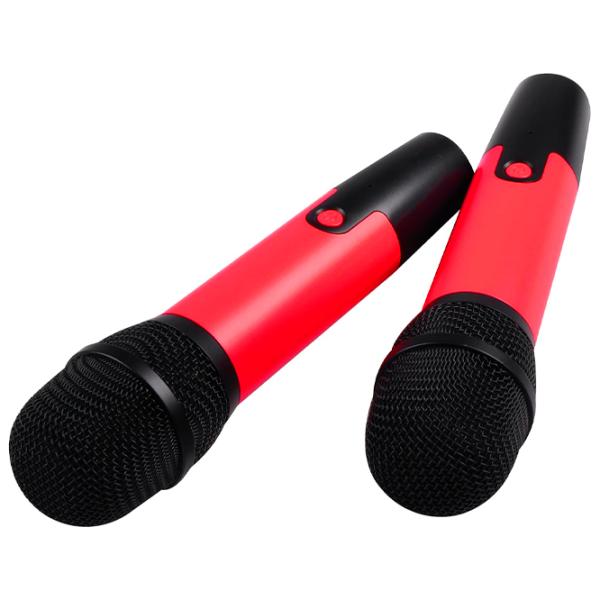 Микрофон KTV Y8 Two Mic + Difuzor Черный photo 2