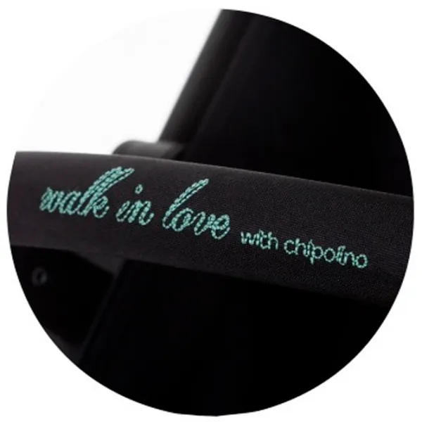 Cărucior pentru copil Chipolino Move On LKMO02305AL/ Green photo 5