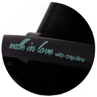 Детская коляска Chipolino Move On LKMO02305AL/ Зелёный photo 5