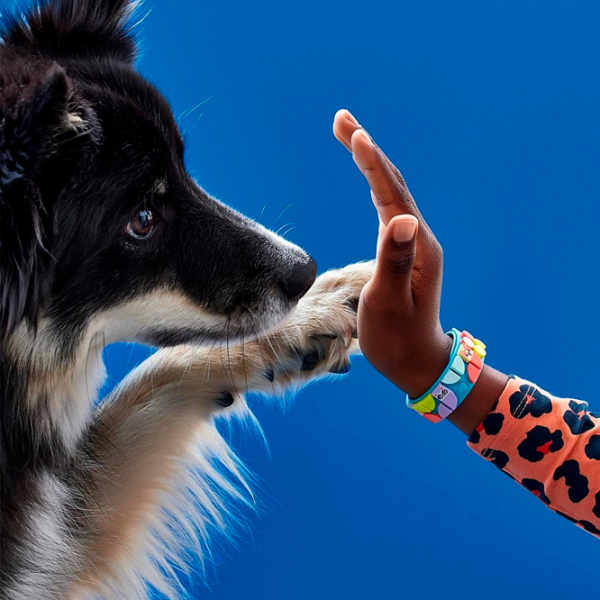 Constructor LEGO My Pets Bracelet Creativ/ Multicolor photo 6