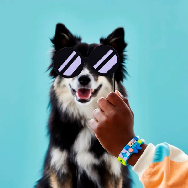 Constructor LEGO My Pets Bracelet Creativ/ Multicolor photo 7