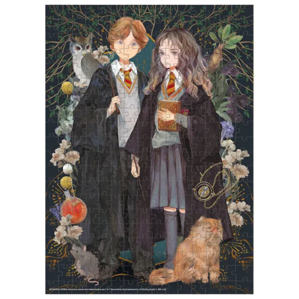 Puzzle 2D DoDo Hermione și Ronald 8+/ Numărul de piese: 300 photo 2 Puzzle 2D DoDo Hermione și Ronald 8+/ Numărul de piese: 300 photo 2