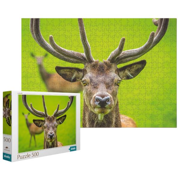 Пазл 2D DoDo Грациозный олень 8+/ Количество деталей: 500 photo 1 Пазл 2D DoDo Грациозный олень 8+/ Количество деталей: 500 photo 1