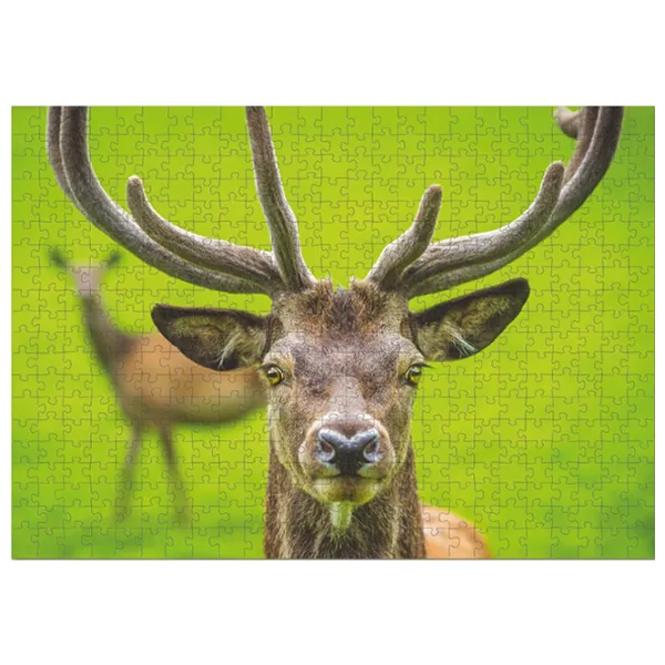 Пазл 2D DoDo Грациозный олень 8+/ Количество деталей: 500 photo 2 Пазл 2D DoDo Грациозный олень 8+/ Количество деталей: 500 photo 2