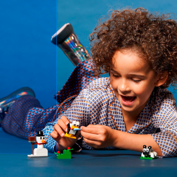 Constructor LEGO Creative White Bricks Clasic/ Multicolor photo 10