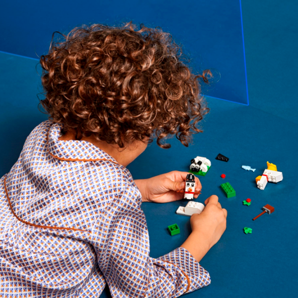 Constructor LEGO Creative White Bricks Clasic/ Multicolor photo 11