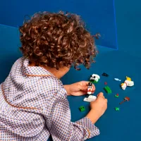 Constructor LEGO Creative White Bricks Clasic/ Multicolor photo 11