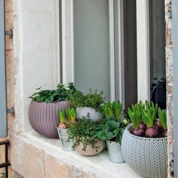 Ghiveci pentru flori Keter Cozy S Violet/ Plastic/ Pe balustradă photo 2