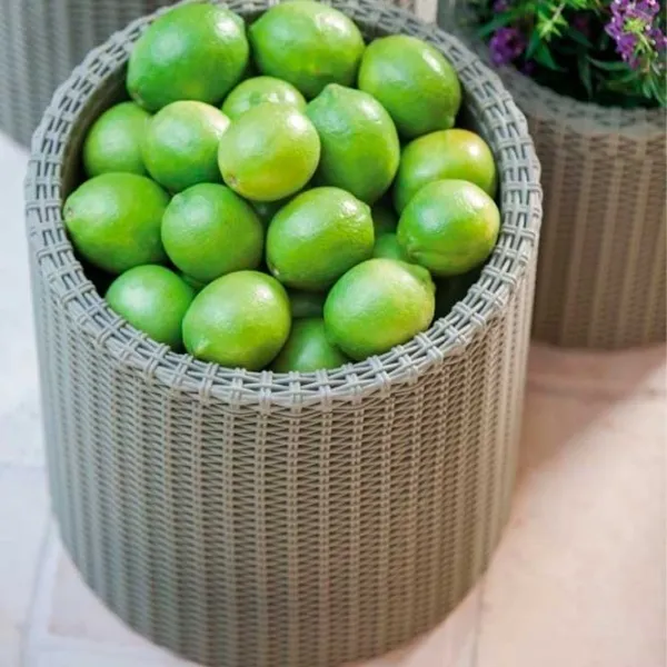 Горшок для цветов Keter Cylinder Planter L Серебристый/ Пластик/ На полу photo 3 Горшок для цветов Keter Cylinder Planter L Серебристый/ Пластик/ На полу photo 3