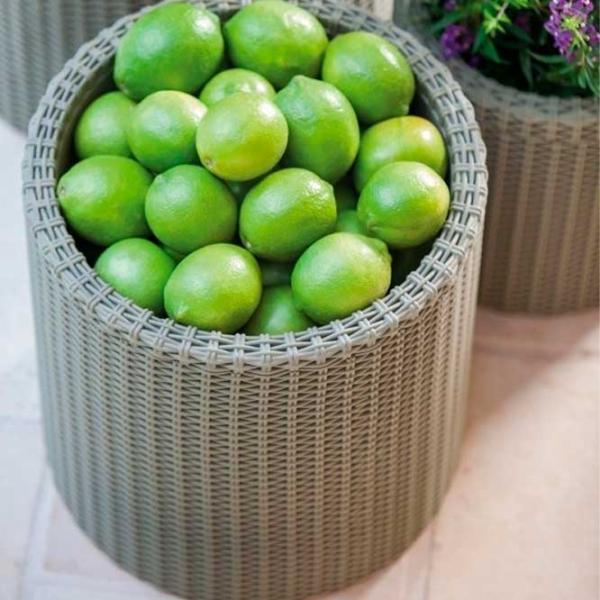Горшок для цветов Keter Cylinder Planter L Серебристый/ Пластик/ На полу photo 3 Горшок для цветов Keter Cylinder Planter L Серебристый/ Пластик/ На полу photo 3