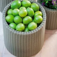 Горшок для цветов Keter Cylinder Planter L Серебристый/ Пластик/ На полу photo 3