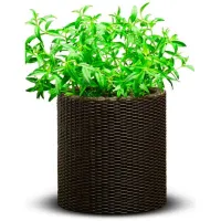Горшок для цветов Keter Cylinder Planter S Коричневый/ Пластик/ На полу photo 2