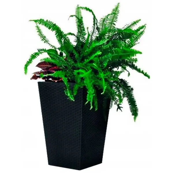 Ghiveci pentru flori Keter Rattan Planter S Anthracite/ Plastic/ Pe podea photo 1