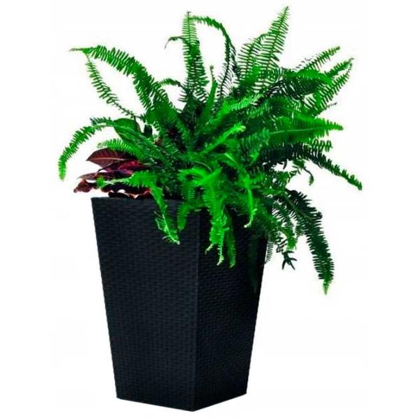 Ghiveci pentru flori Keter Rattan Planter S Anthracite/ Plastic/ Pe podea photo 1