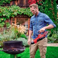 Воздуходувка Einhell 34.335.42 Красный photo 7
