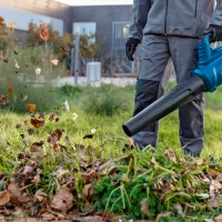 Suflantă de frunze Bosch B06008D2000 Blue photo 5