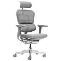 Fotoliu de birou ART Ergohuman Luxury 2 Pânză, plasă acrilică/ Gray