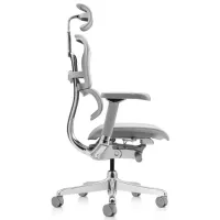 Fotoliu de birou ART Ergohuman Luxury 2 Pânză/ Gray photo 2