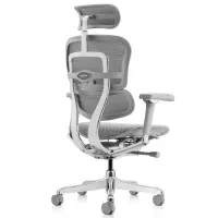 Fotoliu de birou ART Ergohuman Luxury 2 Pânză/ Gray photo 3
