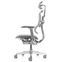 Fotoliu de birou ART Ergohuman Luxury 2 Pânză/ Gray photo 5