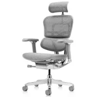 Fotoliu de birou ART Ergohuman Luxury 2 Pânză/ Gray photo 6