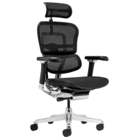 Fotoliu de birou ART Ergohuman Luxury 2 Pânză, plasă acrilică/ Black