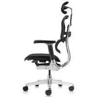 Fotoliu de birou ART Ergohuman Luxury 2 Pânză/ Black photo 3