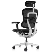 Fotoliu de birou ART Ergohuman Luxury 2 Pânză/ Black photo 6