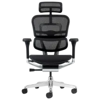 Fotoliu de birou ART Ergohuman Elite 2 Pânză, plasă acrilică/ Black