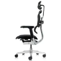 Fotoliu de birou ART Ergohuman Elite 2 Pânză/ Black photo 6