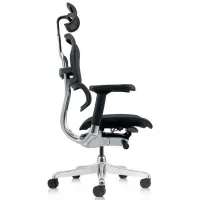 Fotoliu de birou ART Ergohuman Elite 2 Pânză/ Black photo 7