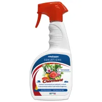 Odorizant de aer Fraber Charmant 650 ml
