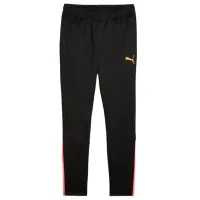 Pantaloni sportivi pentru bărbați Puma Teamliga Training Pants L/ Black