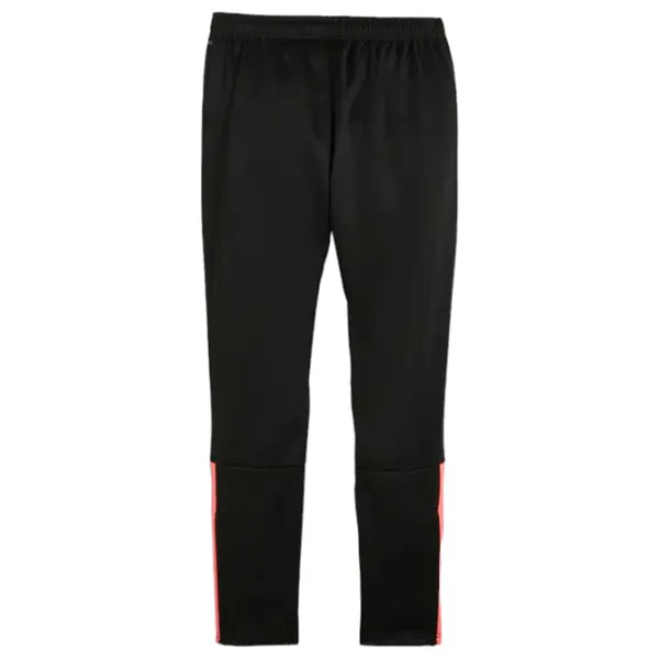 Спортивные брюки для мужчин Puma Teamliga Training Pants S/ Black photo 2