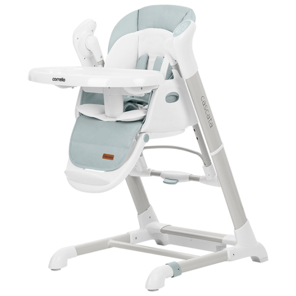 Стульчик для кормления Carrello Cascata (CRL-10303/1) / 0 месяцев / Пепельный  photo 1 Стульчик для кормления Carrello Cascata (CRL-10303/1) / 0 месяцев / Пепельный  photo 1