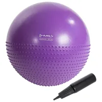 Fitball HMS YB03 55 cm/ Violet