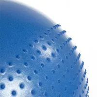 Fitball HMS YB03 55 cm/ Blue photo 5