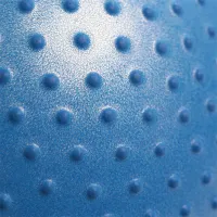 Fitball HMS YB03 55 cm/ Blue photo 6
