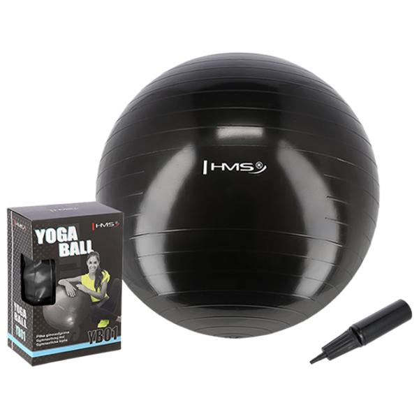 Фитбол HMS YB01 55 см/ Black photo 1